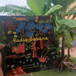 Burkina Radio Savane150p