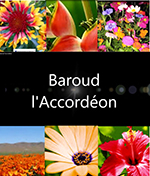 Vignette Baroud315pix