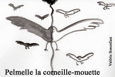 Pelmelle_la_corneille_mouette_vignette.jpg